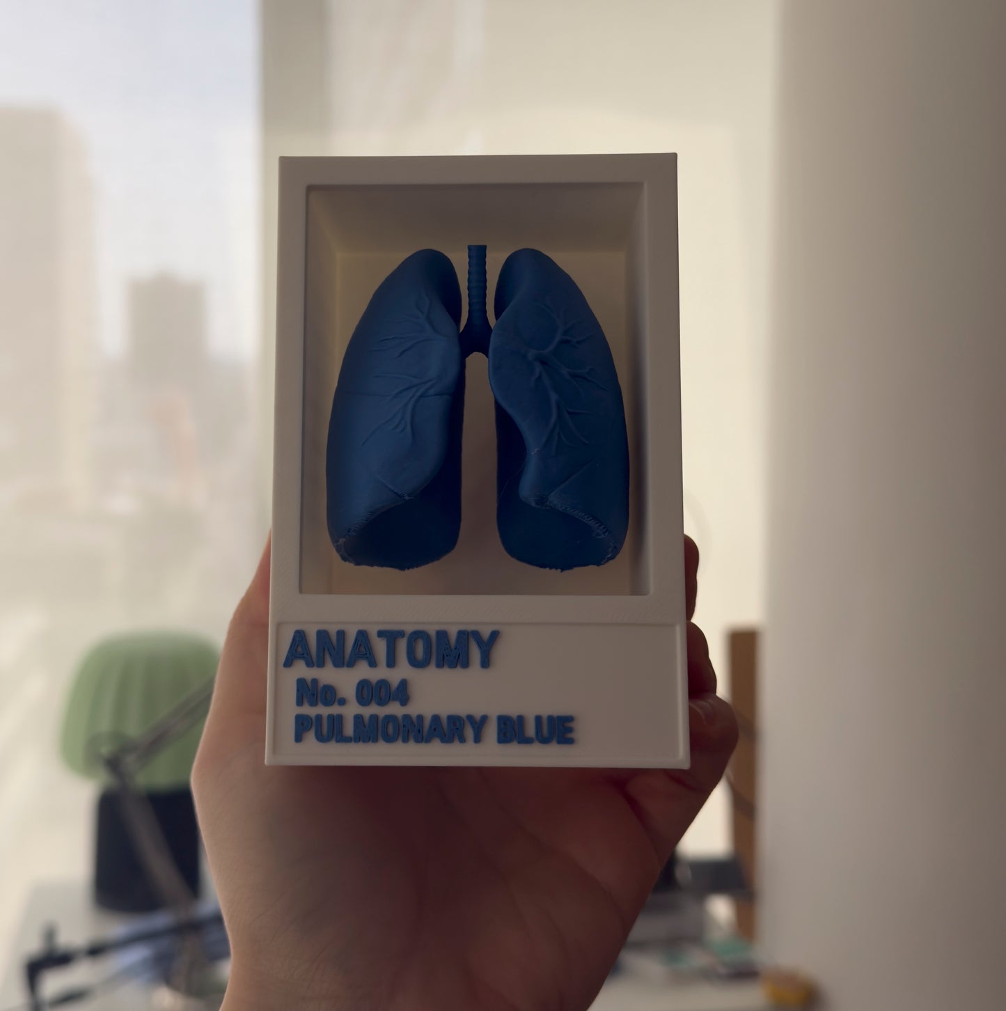 Anatomy Color Series