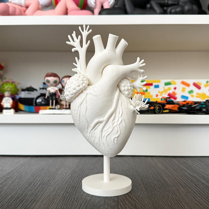 Coral Heart Sculpture